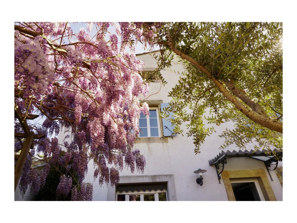 فيلا La Bastide Saint Etienne Cournanel المظهر الخارجي الصورة